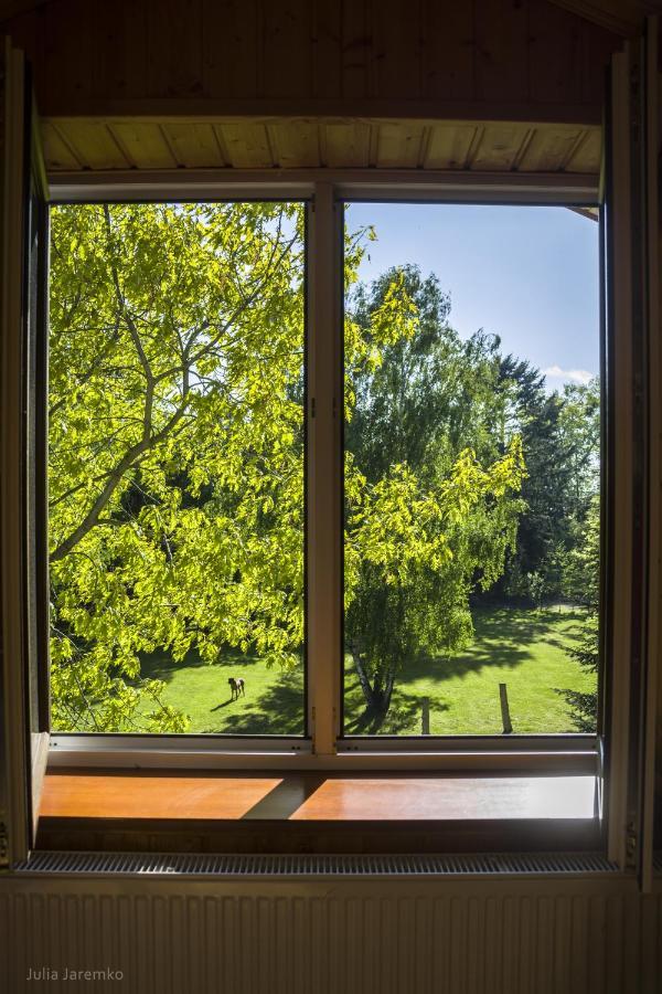 Lesne Zacisze Iława Exterior foto