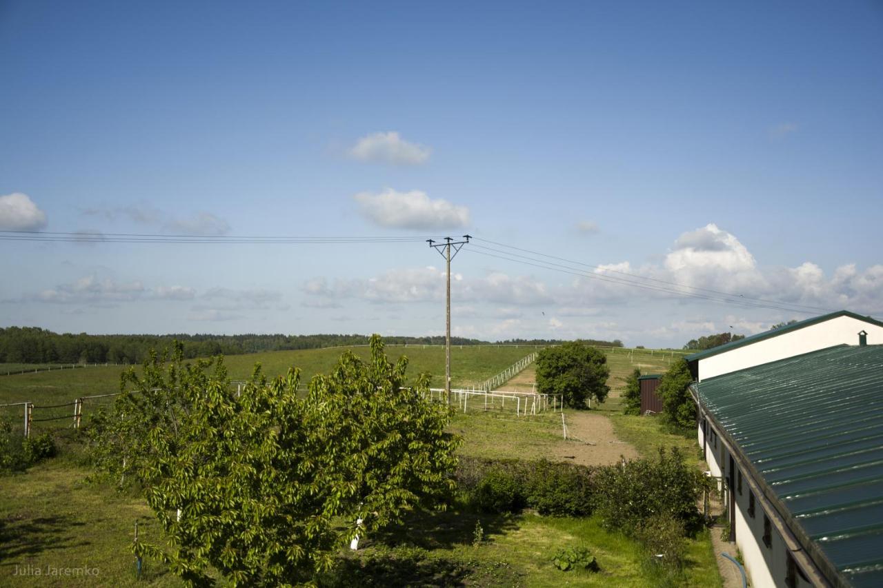 Lesne Zacisze Iława Exterior foto